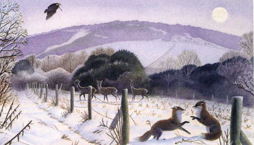 Foxes and deer in a winter landscape